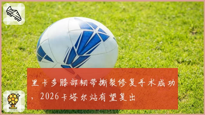 里卡多膝部韧带撕裂修复手术成功，2026卡塔尔站有望复出