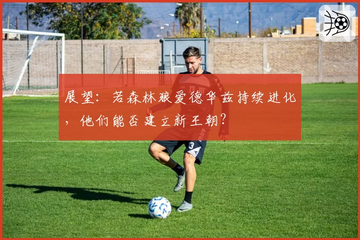 展望：若森林狼爱德华兹持续进化，他们能否建立新王朝？