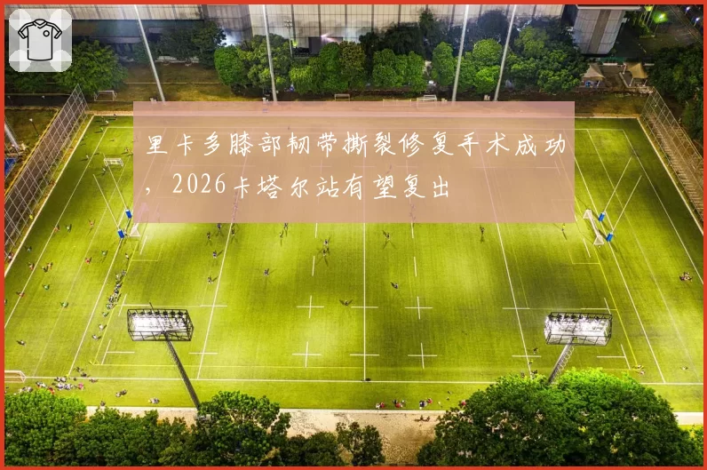 里卡多膝部韧带撕裂修复手术成功，2026卡塔尔站有望复出